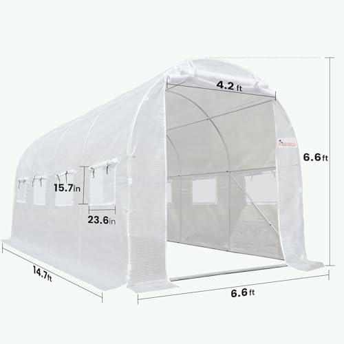 Large Walk-in Greenhouse