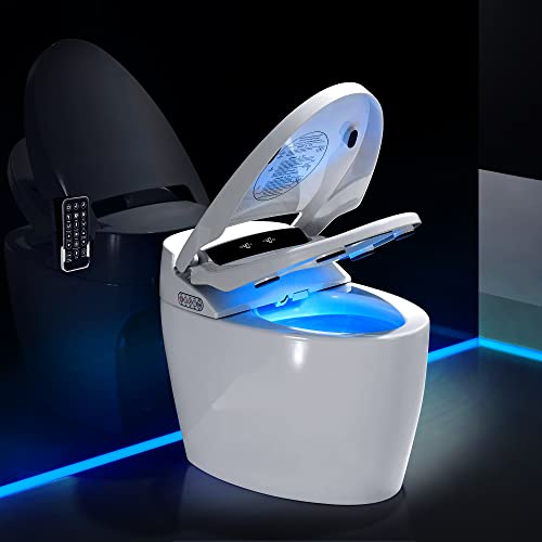 Smart Toilet One-Piece Bidet Toilet