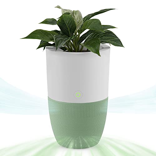 Dupray Bloom™ Air Purifier