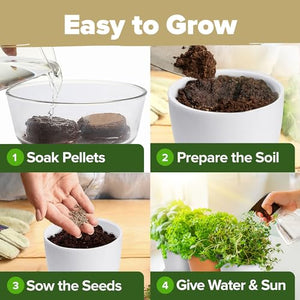 Herb Garden Kit