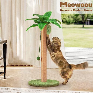 Cat Scratcher 35 inch