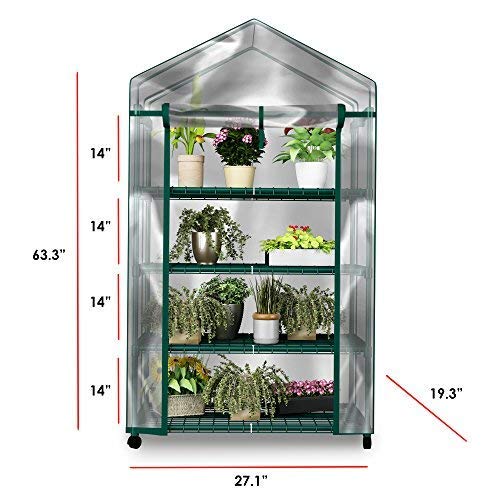 Mini Greenhouse