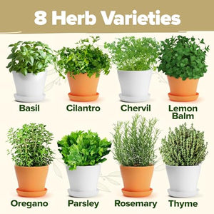 Herb Garden Kit