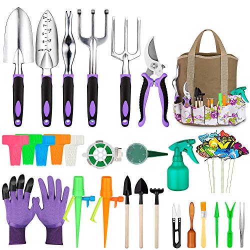 Succulent Tools Set