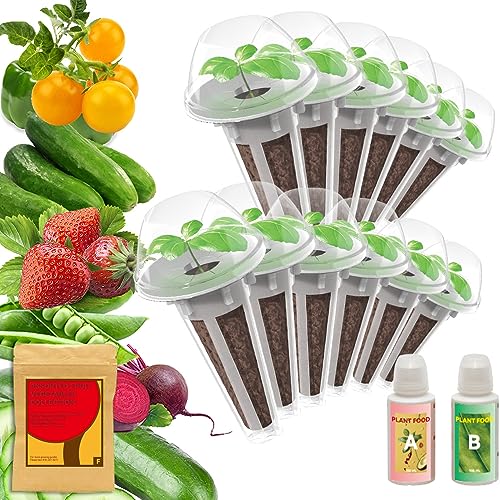 Fruit & Vegetables Mix Seed