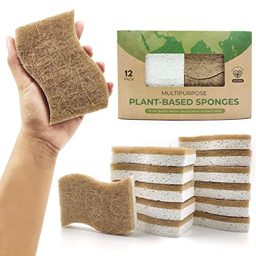 Natural Kitchen Sponge