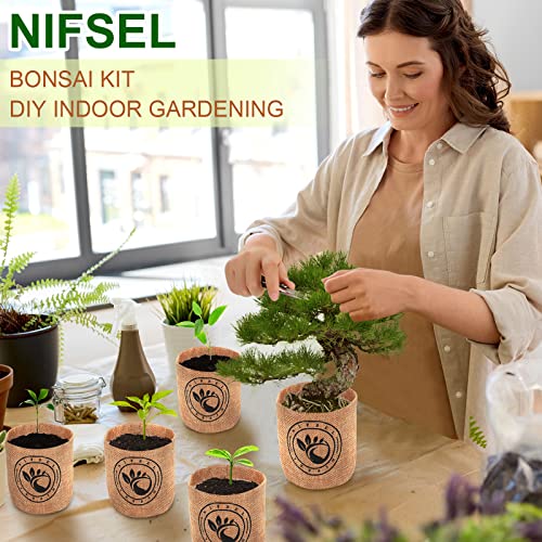 indoor bonsai tree kit Bonsai Growing Kit – Spoiled Earth