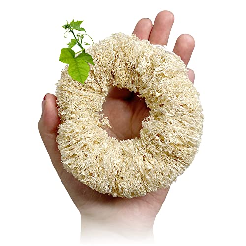 Loofah Dish Sponge