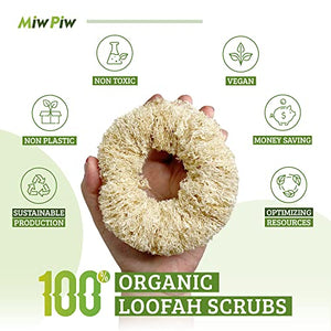 Loofah Dish Sponge