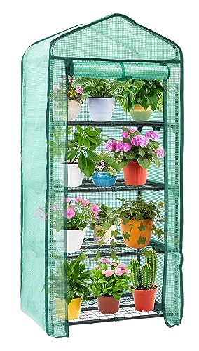 Mini Greenhouse