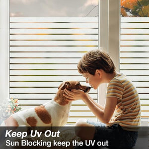 Frosted Glass Window Film