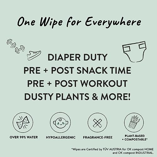 Clean Conscious Wipes