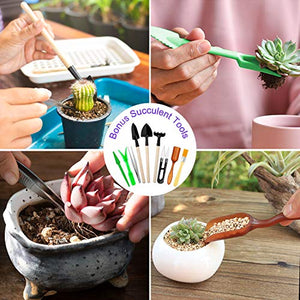 Succulent Tools Set