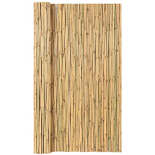 Eco-Friendly Bamboo Fence