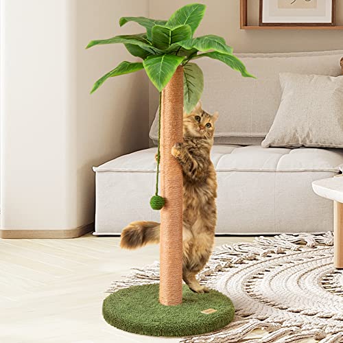 cat palm tree scratching post Cat Scratcher 35 inch – Spoiled Earth
