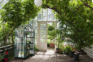 Mini Greenhouse