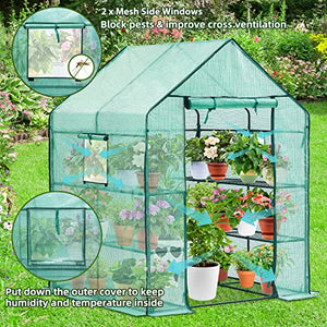 Plant Greenhouses