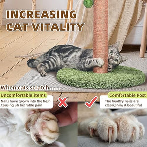 Cat Scratcher 35 inch