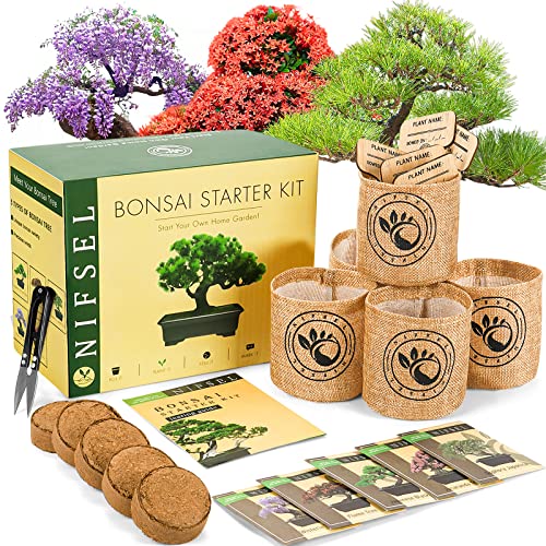 bonsai tree grow kit Bonsai Growing Kit – Spoiled Earth